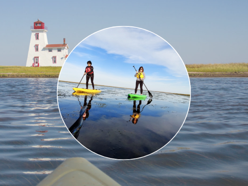 Kildare Lodge Rentals