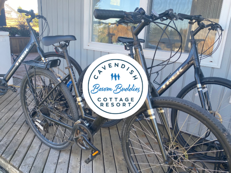 Bosom Buddies Bike Rentals