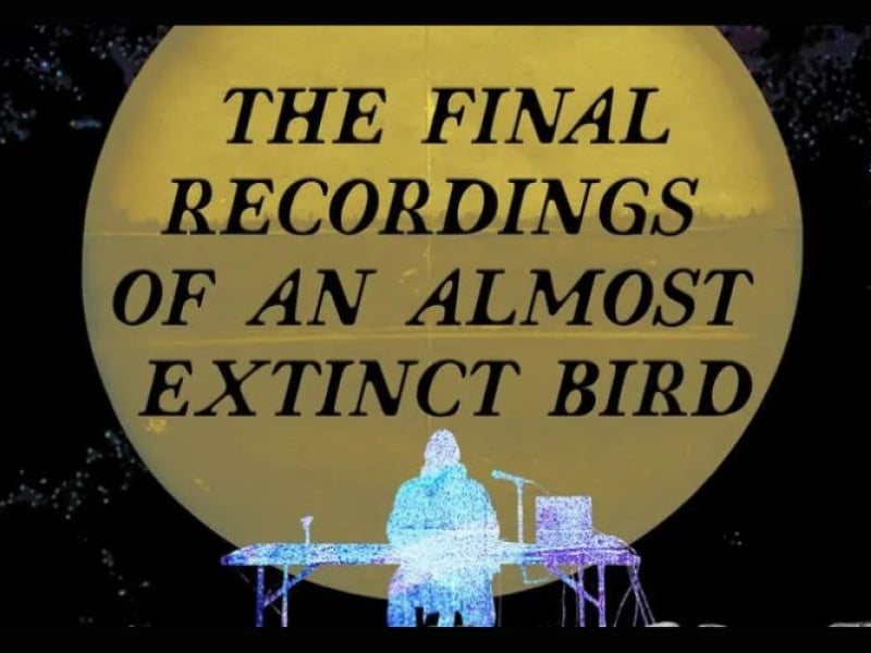 The Final Recordings of an Almost Extinct Bird