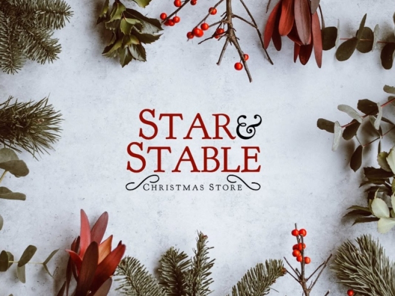 Star & Stable Christmas Store