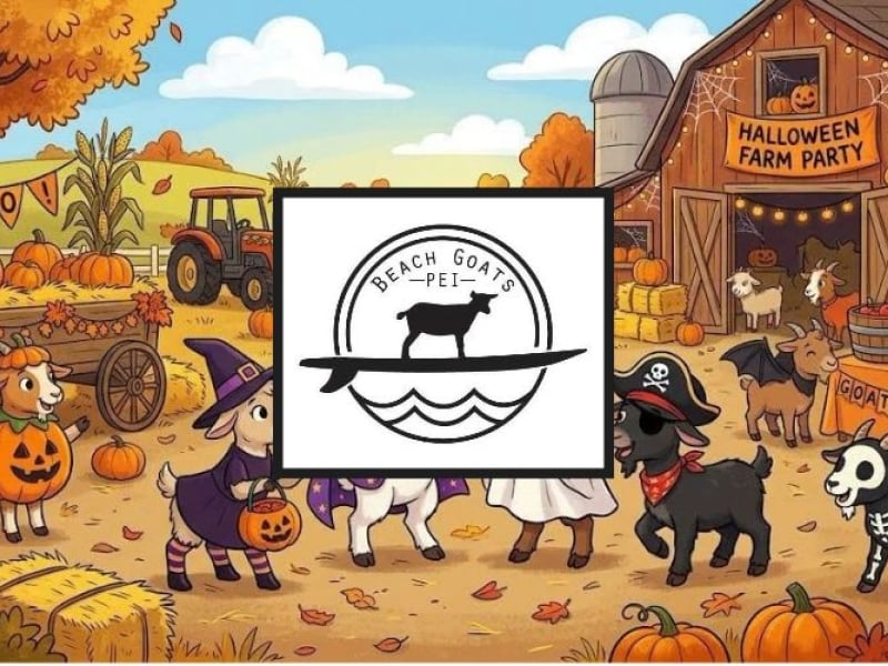 Halloween with the Beach Goats