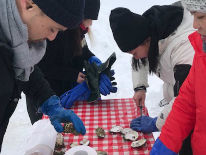Tranquility Cove's Ice Fishing for Oysters