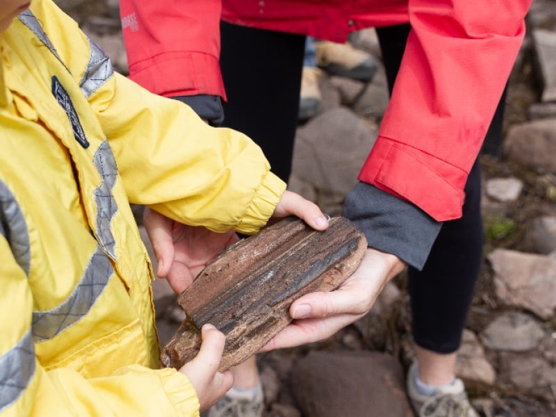 Prehistoric Island Tours