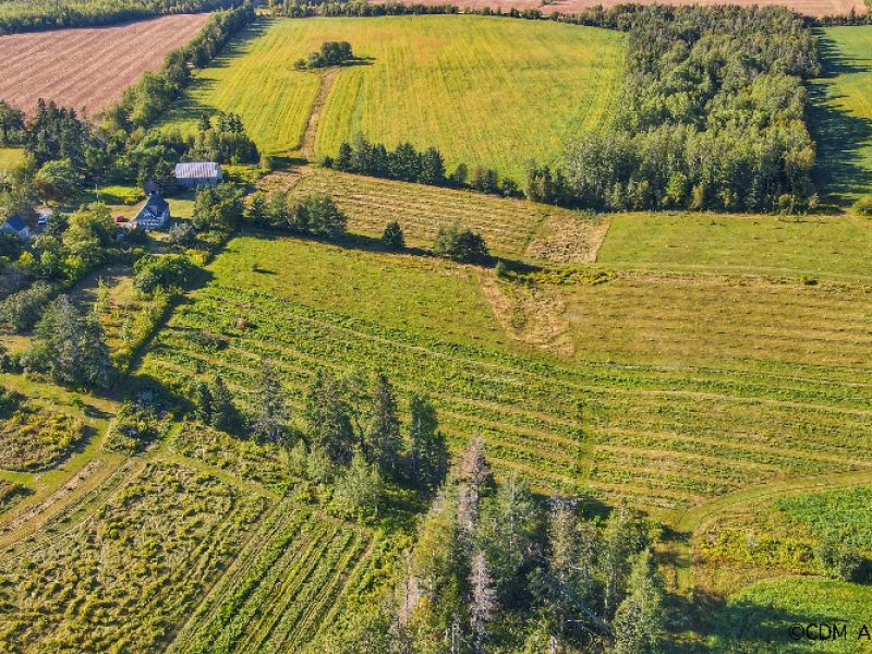 Double Hill Cidery