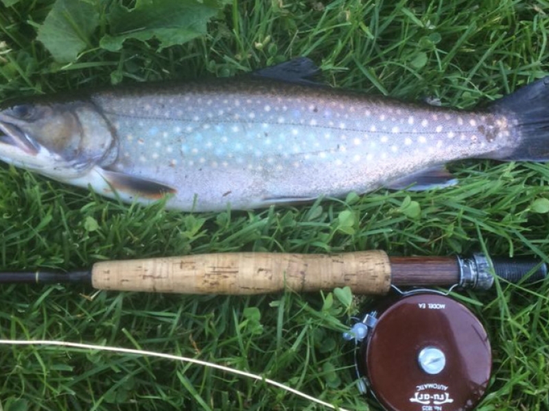 PEI Fly King