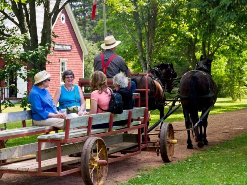 Group experiences a horse and wagon ride through the village in summer
