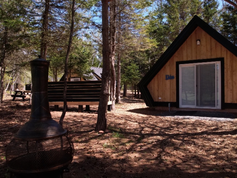 Wild Pines Cabins