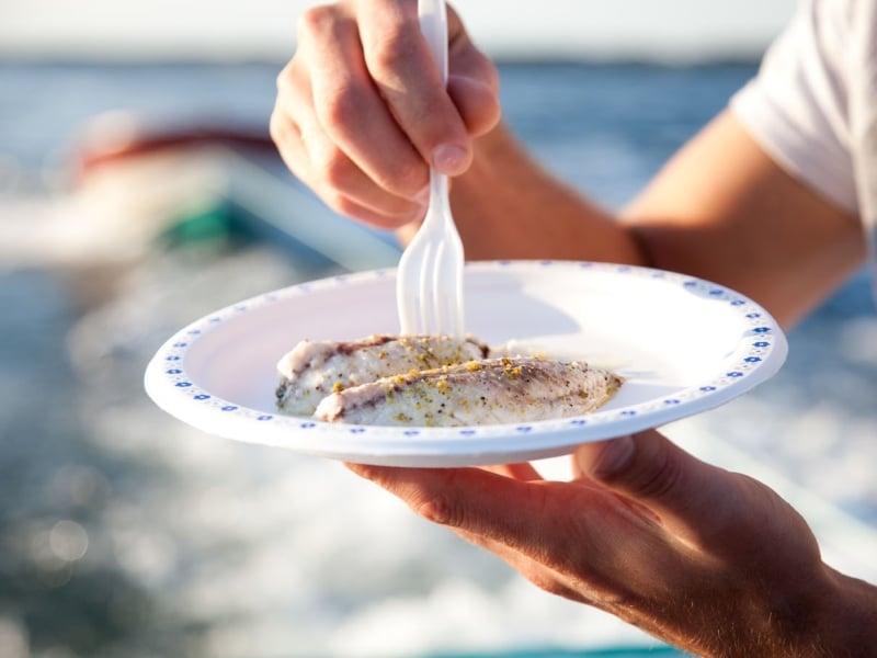 Deep-Sea Fishing & BBQ - Tranquility Cove Adventures