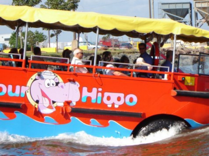 Harbour Hippo