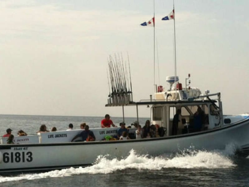 MacNeill's Tuna and Deep-Sea Fishing Charters