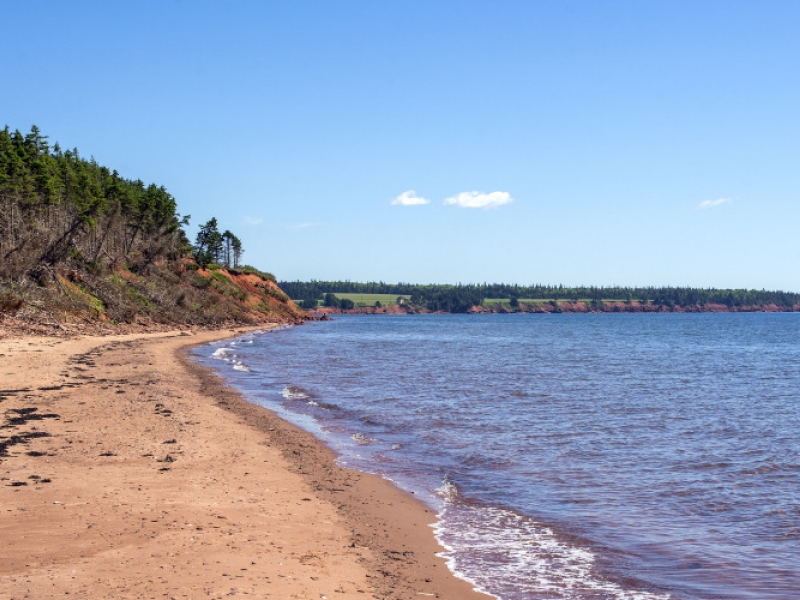 Sally's Beach Provincial Day Park