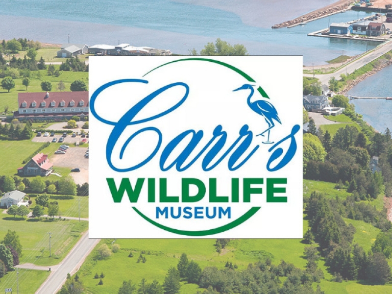 Carr's Wildlife Centre & Gift Shop in Stanley Bridge