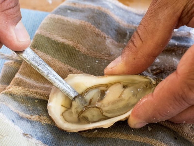Closeup of person cleaning a shucked oyster