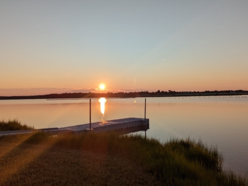 Amy's Rental Company