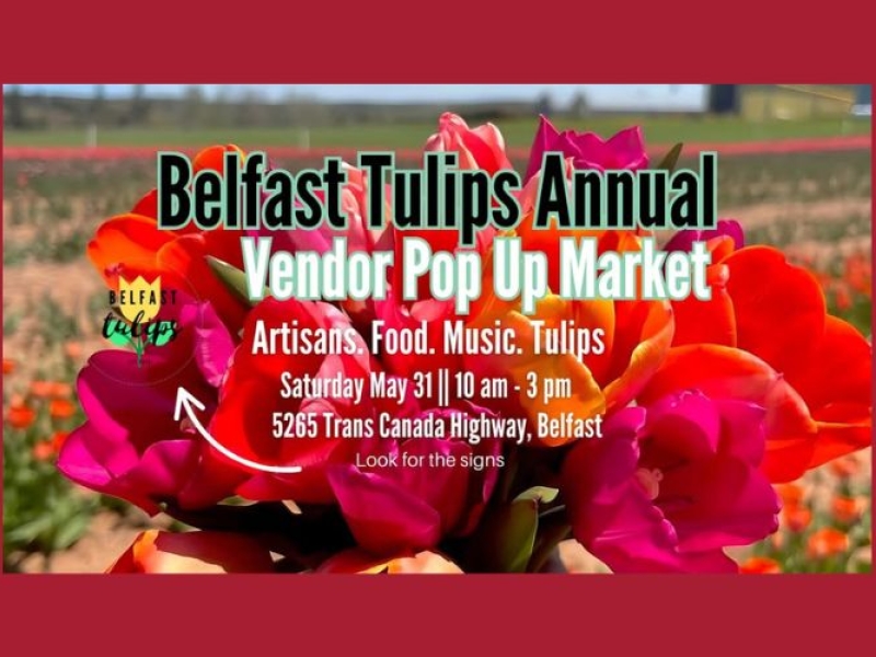 Vendor Pop Up Market at Belfast Tulips