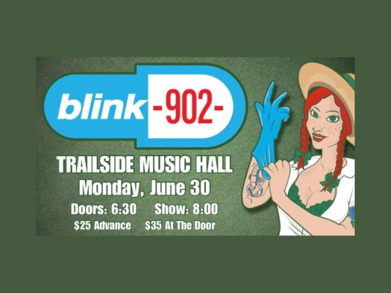 Blink 182 Tribute w/ Blink 902