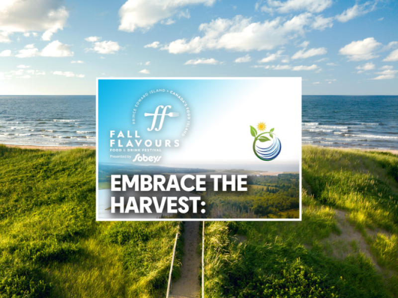Embrace the Harvest – Mindful Eating Retreat
