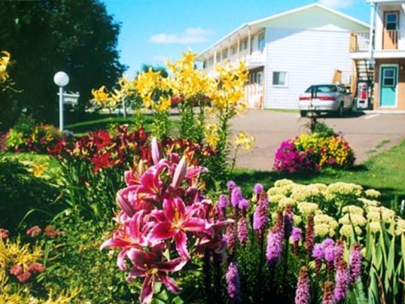 Fair Isle Motel