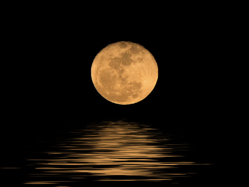 Spirits of the Moon Mystical Evening