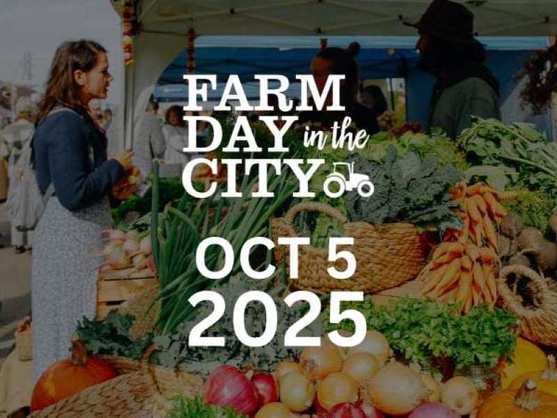 Farm Day in the City