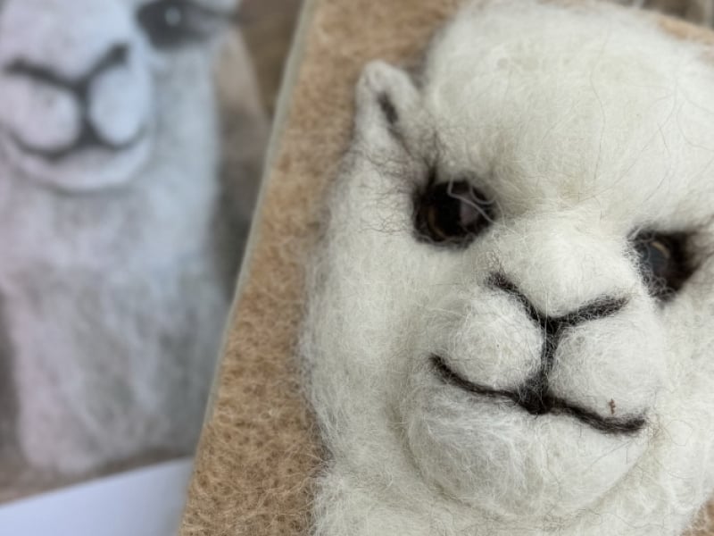 Fibre & Friends: I Felt an Alpaca