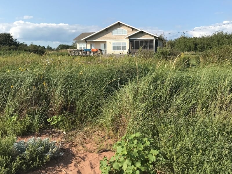 Tranquility Beach Cottage
