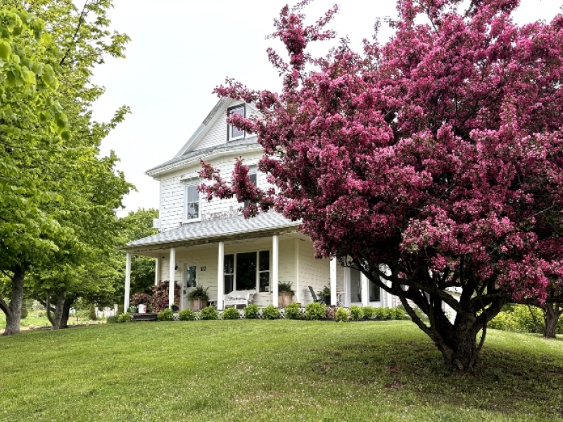 Lucy Lane Rental