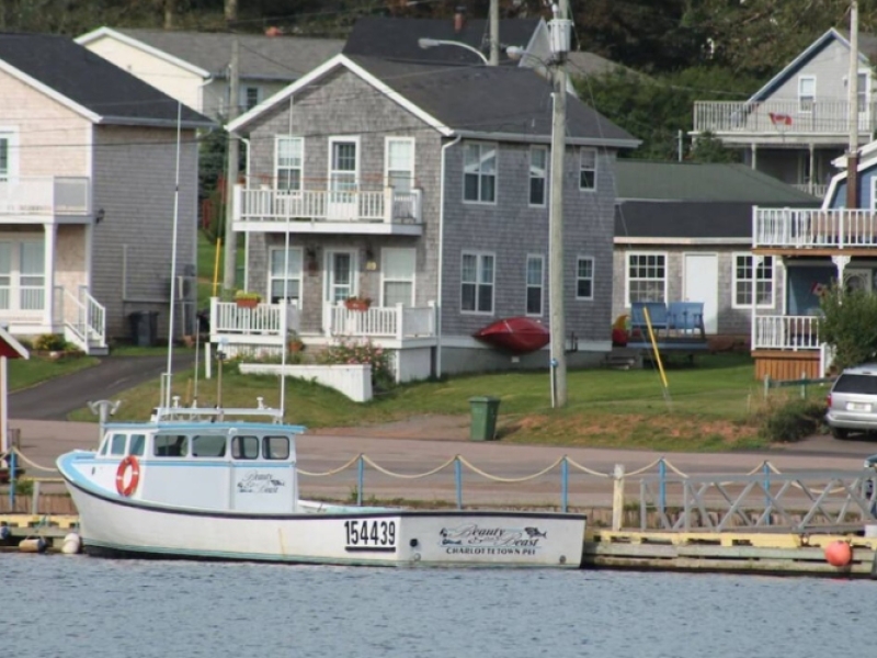 Salt of the Harbour