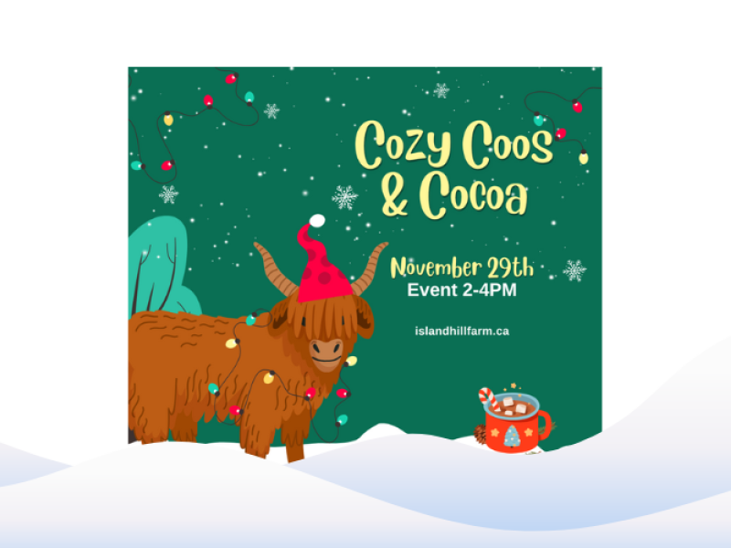 Cozy Coos & Cocoa