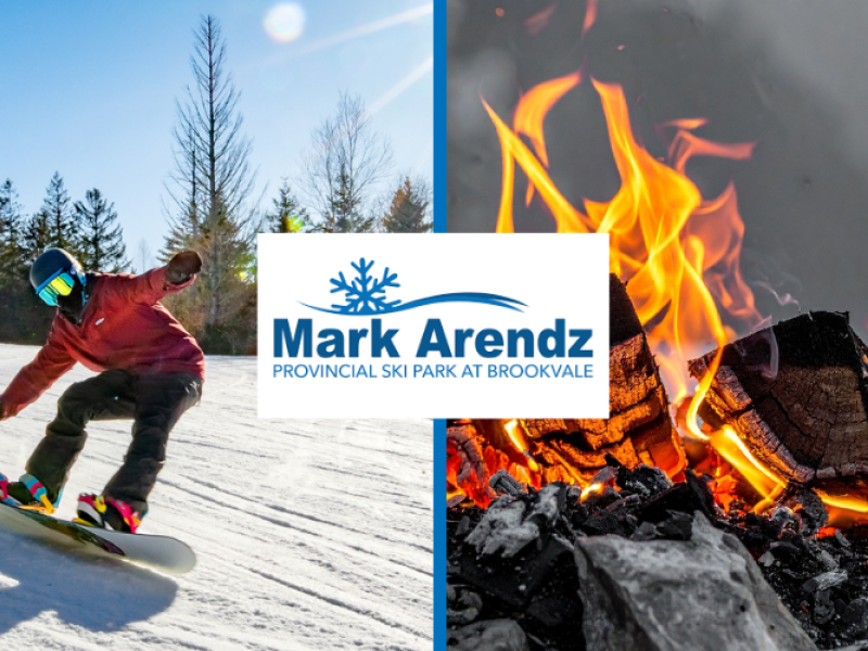 Islander Day at Brookvale