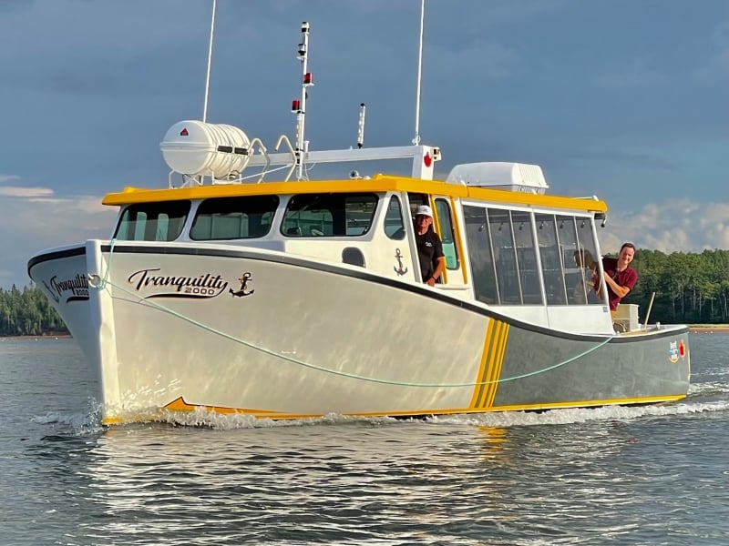 Lighthouse Tour and Seal Watch Tour - Tranquility Cove Adventures