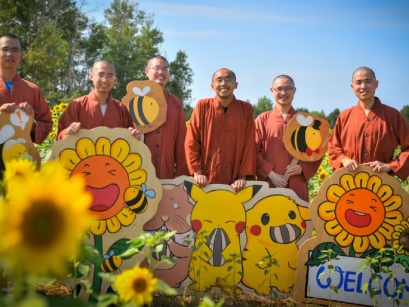 Sunflower Carnival