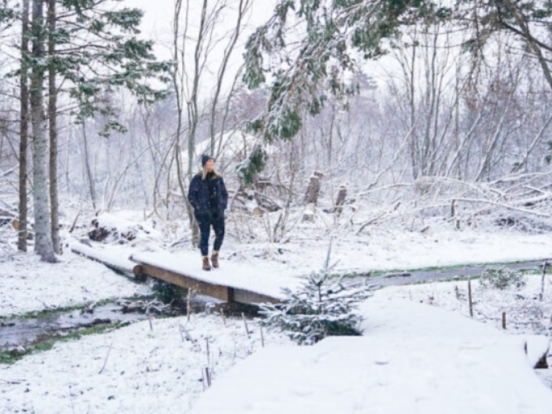 Nature Space Signature Package