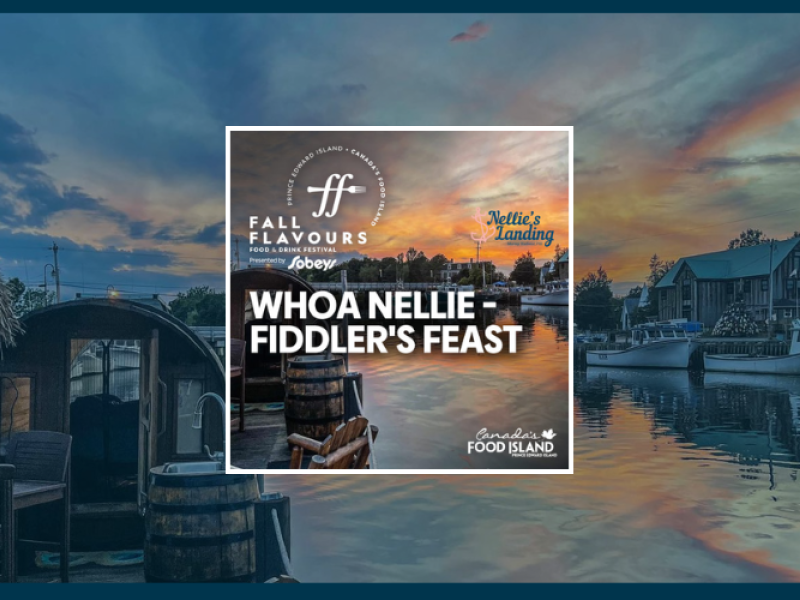 Whoa Nellie – Fiddler’s Feast