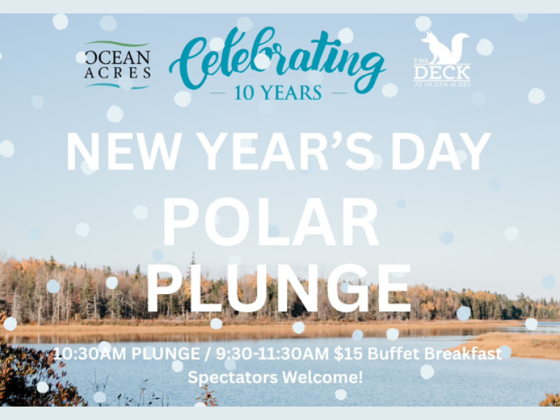 New Year's Day Polar Plunge