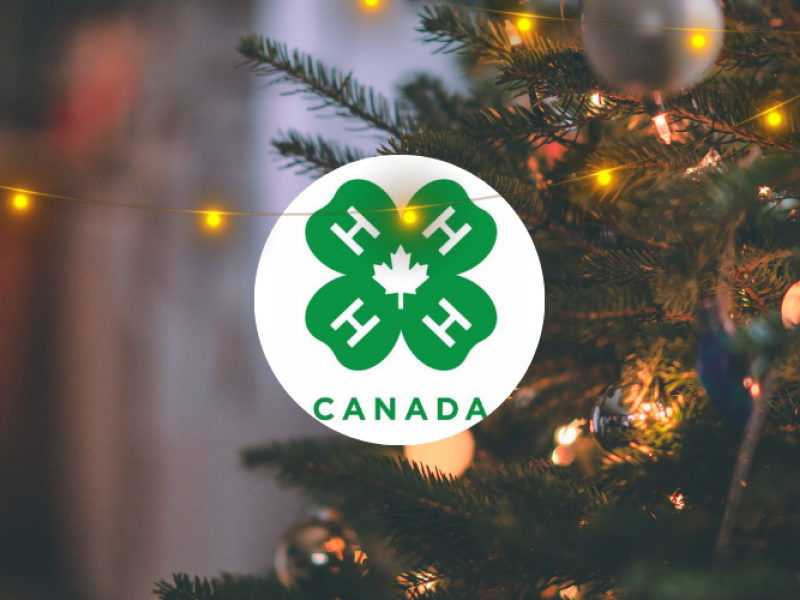 North River 4-H Club Craft Fair