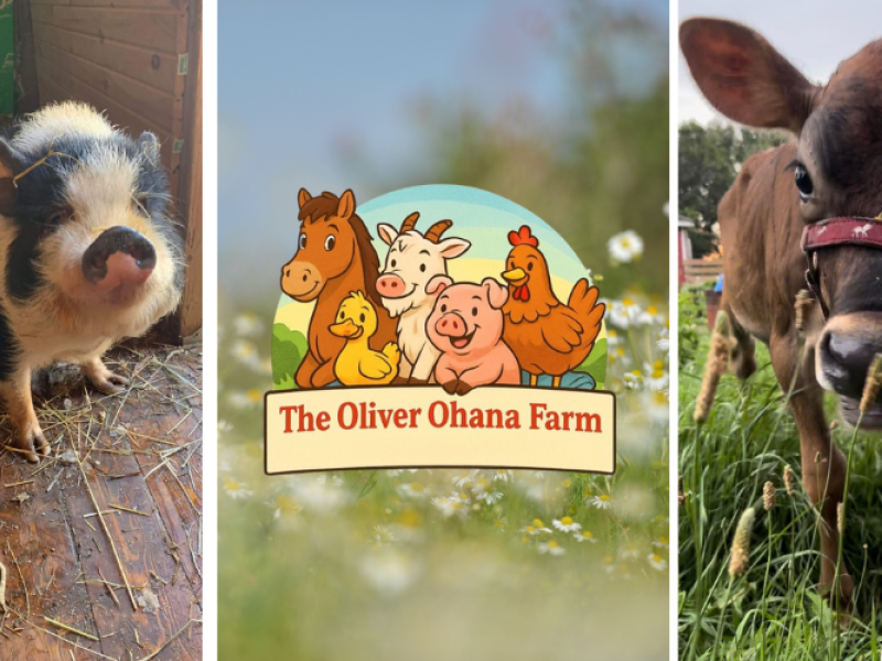 The Oliver Farm