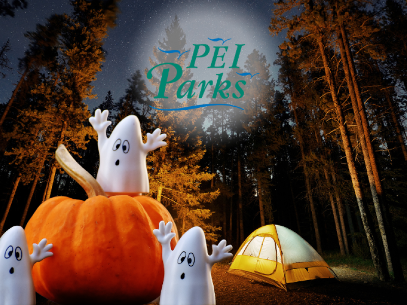 Cabot Beach Halloween in the Park