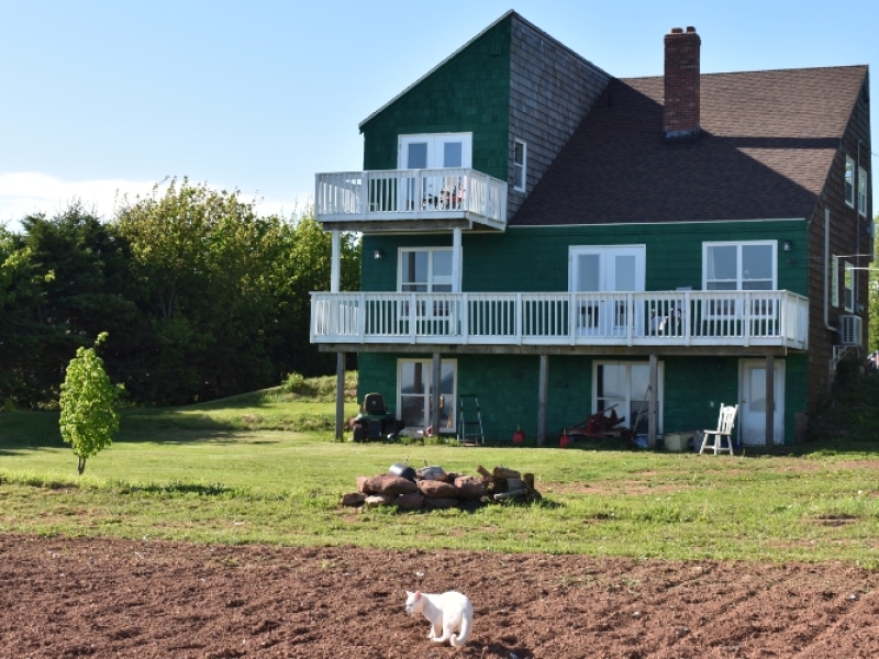 Pownal Bay Farms