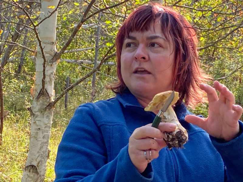 Wild Mushroom Foraging & Tasting