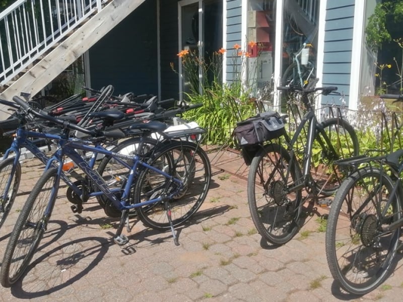 MacQueen's Bike Shop & Island Tours - Local Cycling Specialists