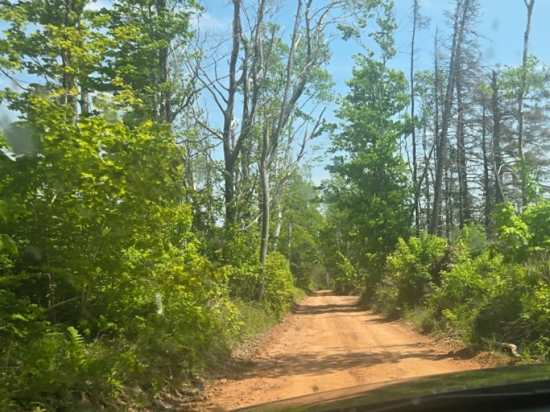 Road Less Travelled Accommodations