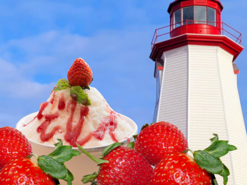 Strawberry Social at Seacow Head Lighthouse