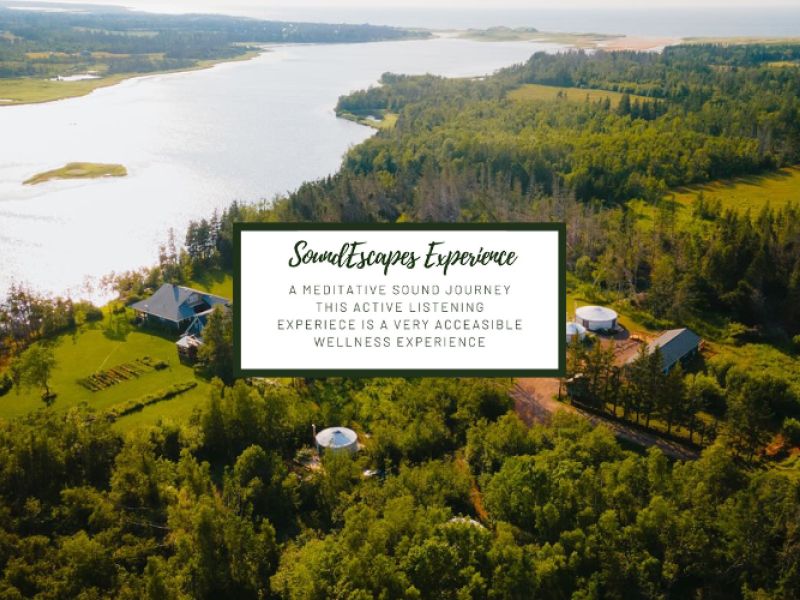 SoundEscapes Soundbath Experience - November 28