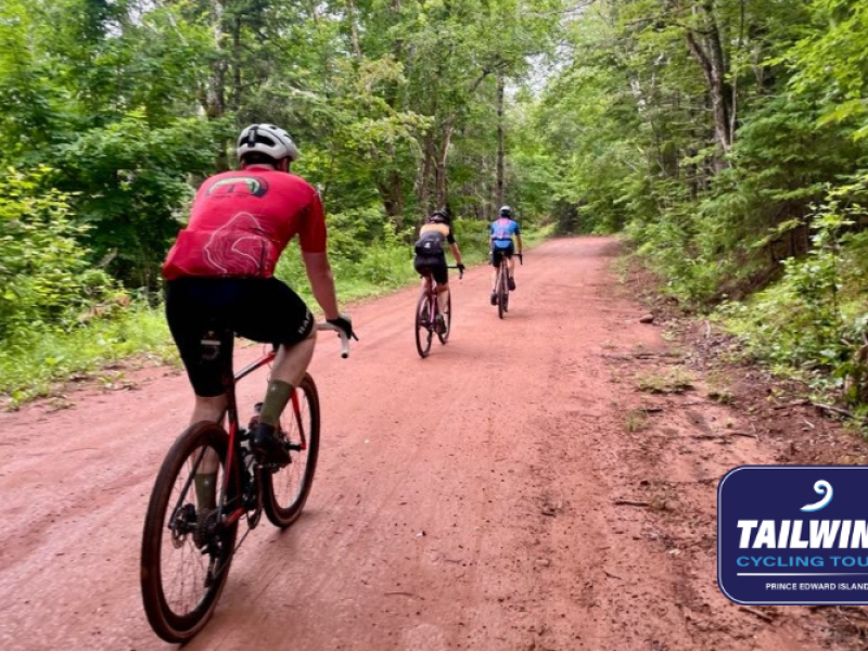 Tailwind Cycling Tours