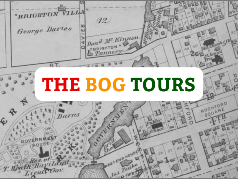 The Bog Tour