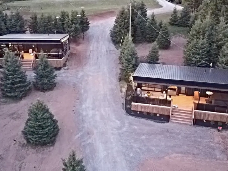 The Woodlot