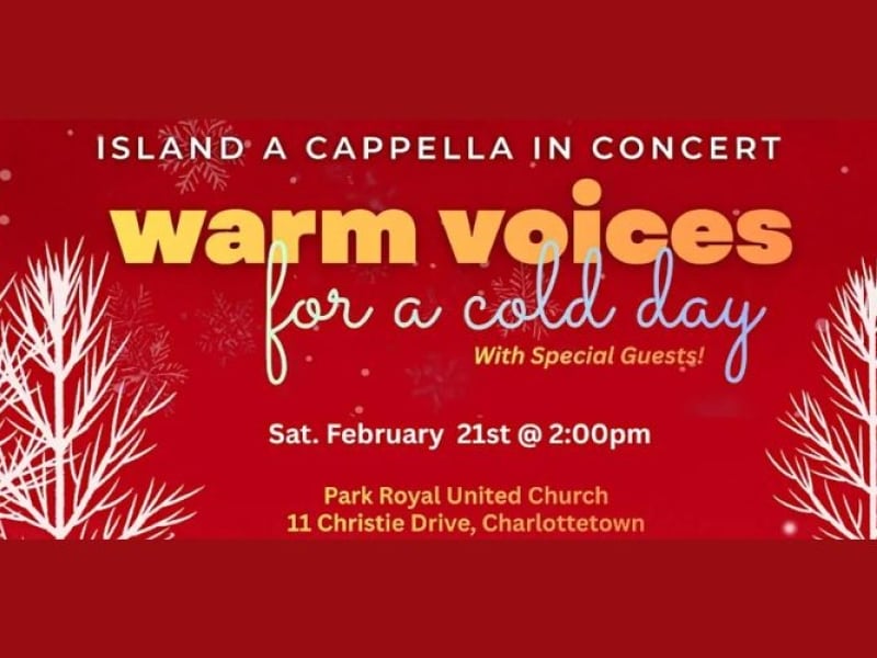 Warm Voices for a Cold Day: Island A Cappella