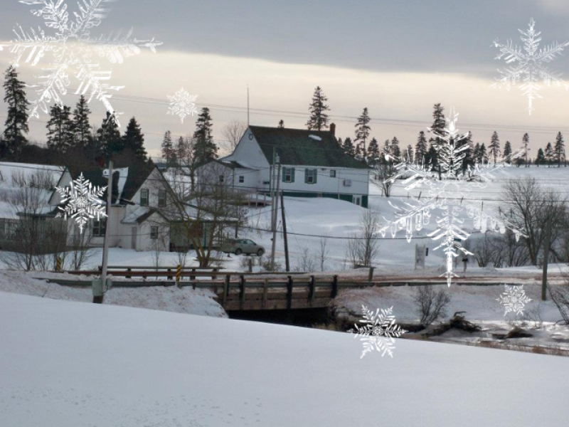 Wheatley River Country Craft Fair