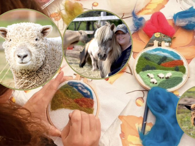 Wool & Whimsy: A Felted Journey on the Farm